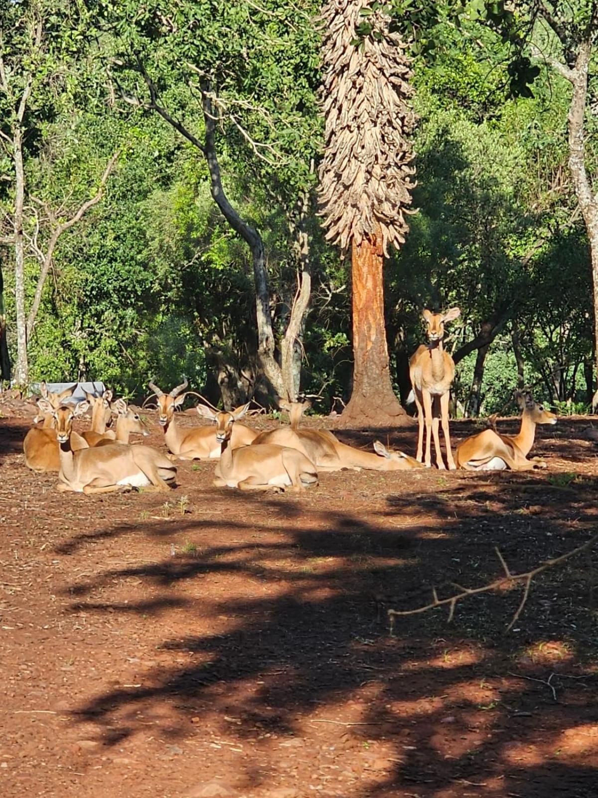 Waterfall Safari Lodge Winterkamp 外观 照片