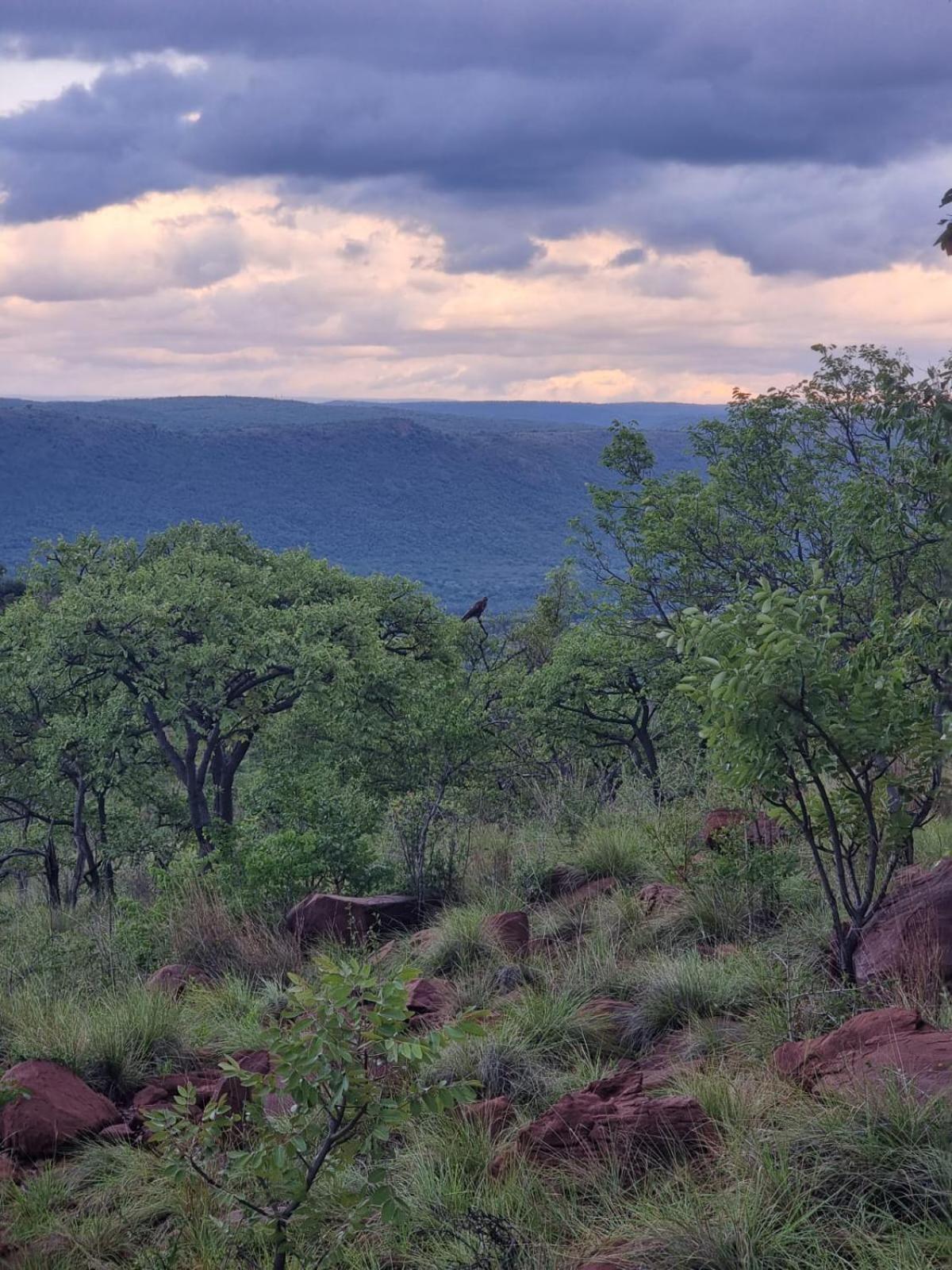 Waterfall Safari Lodge Winterkamp 外观 照片