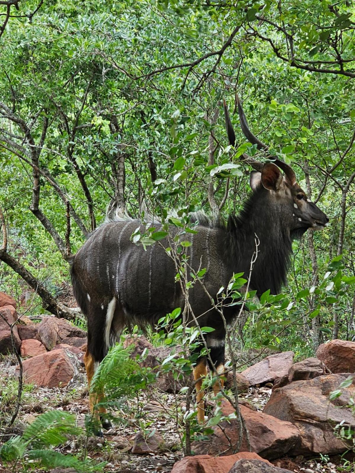 Waterfall Safari Lodge Winterkamp 外观 照片